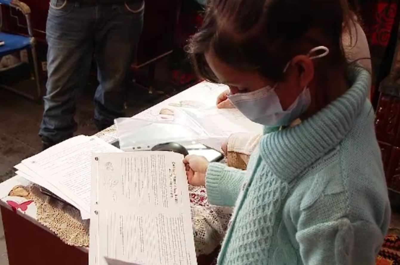 Un grup de liceeni din Brașov meditează gratuit elevii mai mici. În acest timp, școala online n-a început peste tot