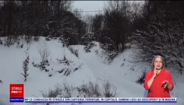 Accident de vânătoare în Bistrița Năsăud. Un bărbat a fost împușcat în picior după ce glonțul a ricoșat dintr-un copac