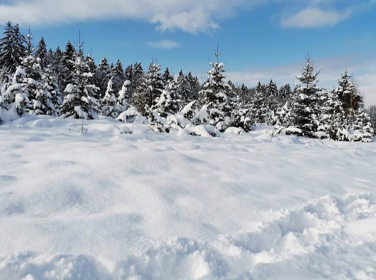 ANM: Ninsoare, viscol şi ceaţă persistentă în decembrie; valorile termice scad cu 4 - 6 grade Celsius faţă de noiembrie