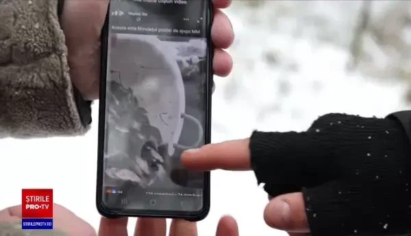 Scandal în Maramureș. Apele Someșului, populate cu somn pitic, o specie care ar distruge ecosistemul