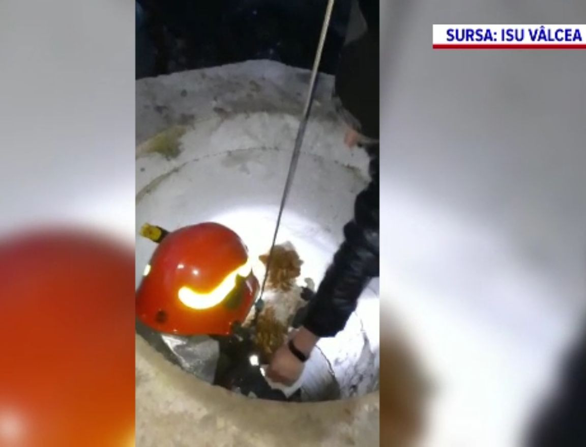 Operațiune de salvare neobișnuită în Vâlcea. Pompierii au scos un motan dintr-o fântână, ud fleașcă la 0 grade