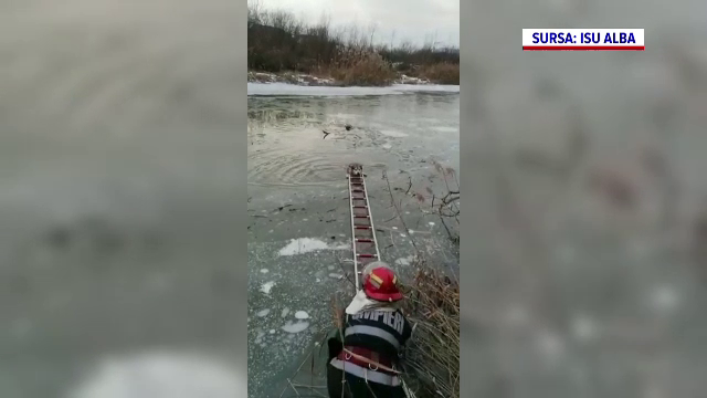 Momentul în care un câine este salvat de pompieri din apele înghețate ale unui râu, în Alba. VIDEO