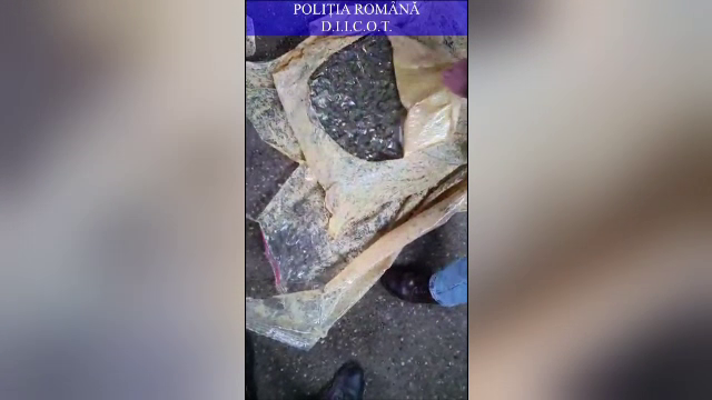 Droguri ascunse în saci cu boabe de cafea, descoperite de polițiști la Galați