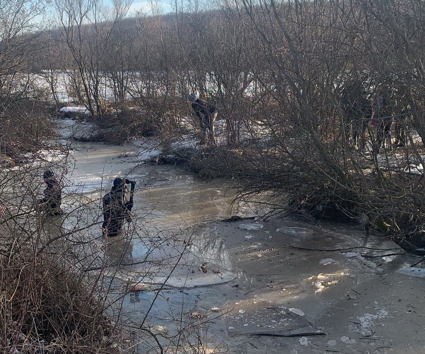 Mister în Olt: un cioban dispărut și 70 de oi moarte într-un pârâu. Unde era bărbatul în timp ce poliția îl căuta