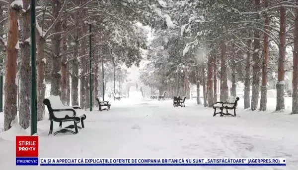 Horoscop 26 ianuarie 2021, cu Neti Sandu. Capricornii primesc mai mulți bani