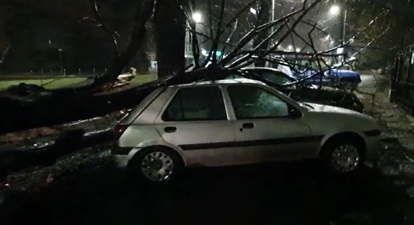 Pagube majore în Constanța, din cauza viscolului. Mai multe mașini au fost avariate