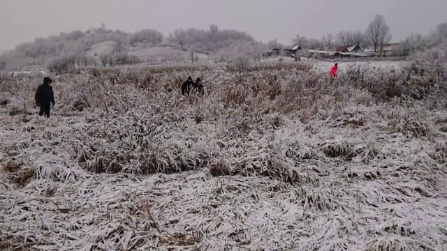 Bătrân din Alba, găsit mort după mai bine de 2 săptămâni de căutări