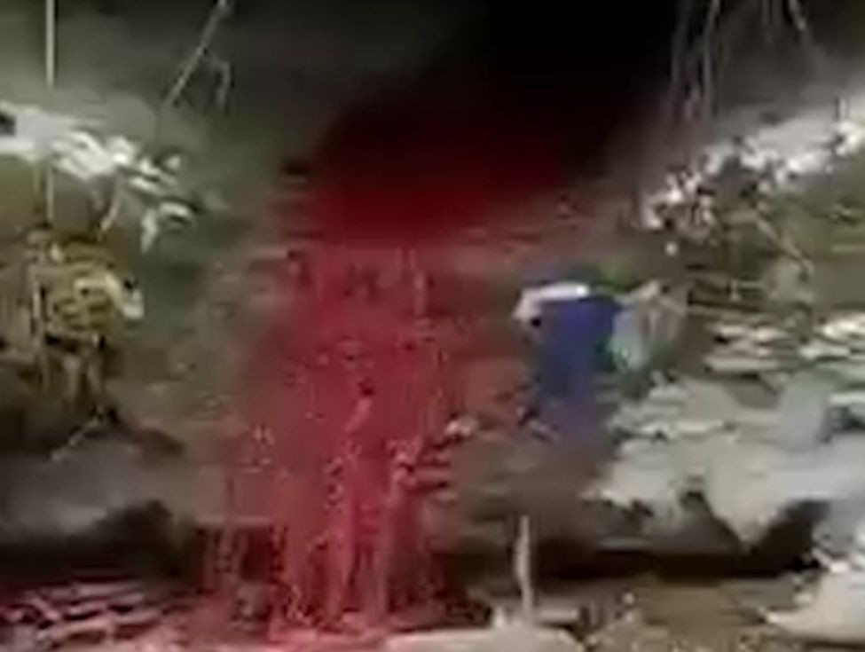 "Râu de sânge", într-o localitate din Argeş. "Să ştiţi că a fost un accident, nu se practică"