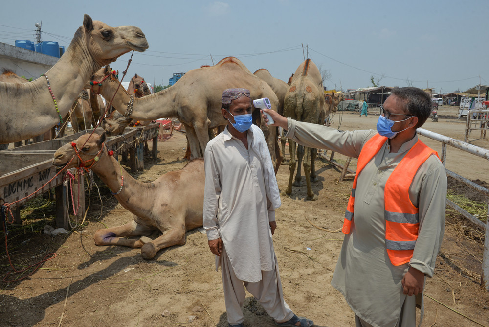 Un virus de 10 ori mai letal decât Sars-CoV-2 îi îngrijorează pe oamenii de știință