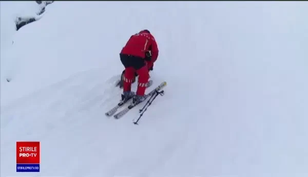 Câinii de căutare în caz de avalanșă, esenţiali pentru salvamontiștii români. Cum sunt antrenați