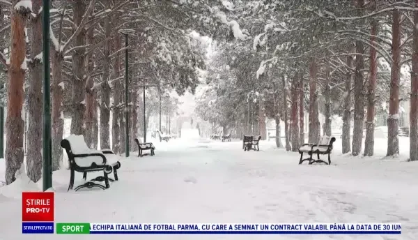 Horoscop 30 ianuarie, cu Neti Sandu. Săgetătorii au o reușită și fac lucruri mărețe