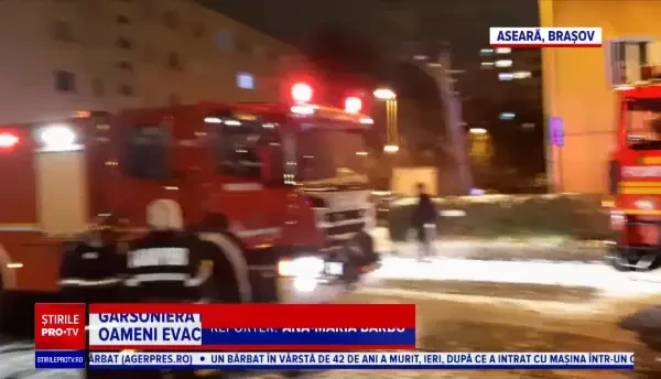 A fost prins ursul care se plimba pe pârtia din Predeal. Unde va fi dus animalul