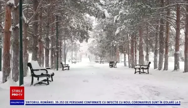 Horoscop 31 ianuarie, cu Neti Sandu. Taurii ies la o întâlnire cu cineva de care sunt atrași