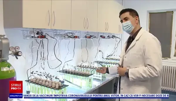 Un milion de euro de la guvernul Norvegiei pentru o echipă de cercetători din Cluj-Napoca. Ce vor să studieze