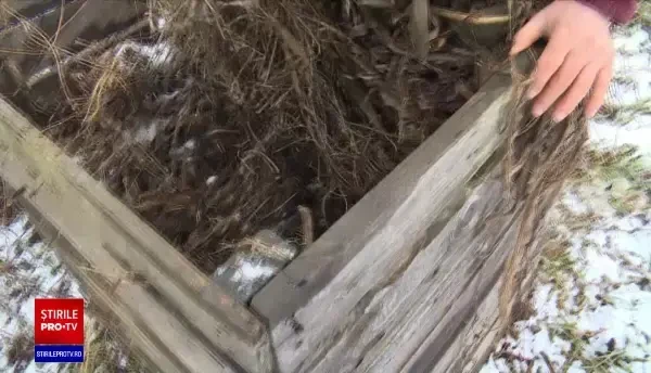 Intră în vigoare legea compostului. Se folosește deja cu succes în agricultură