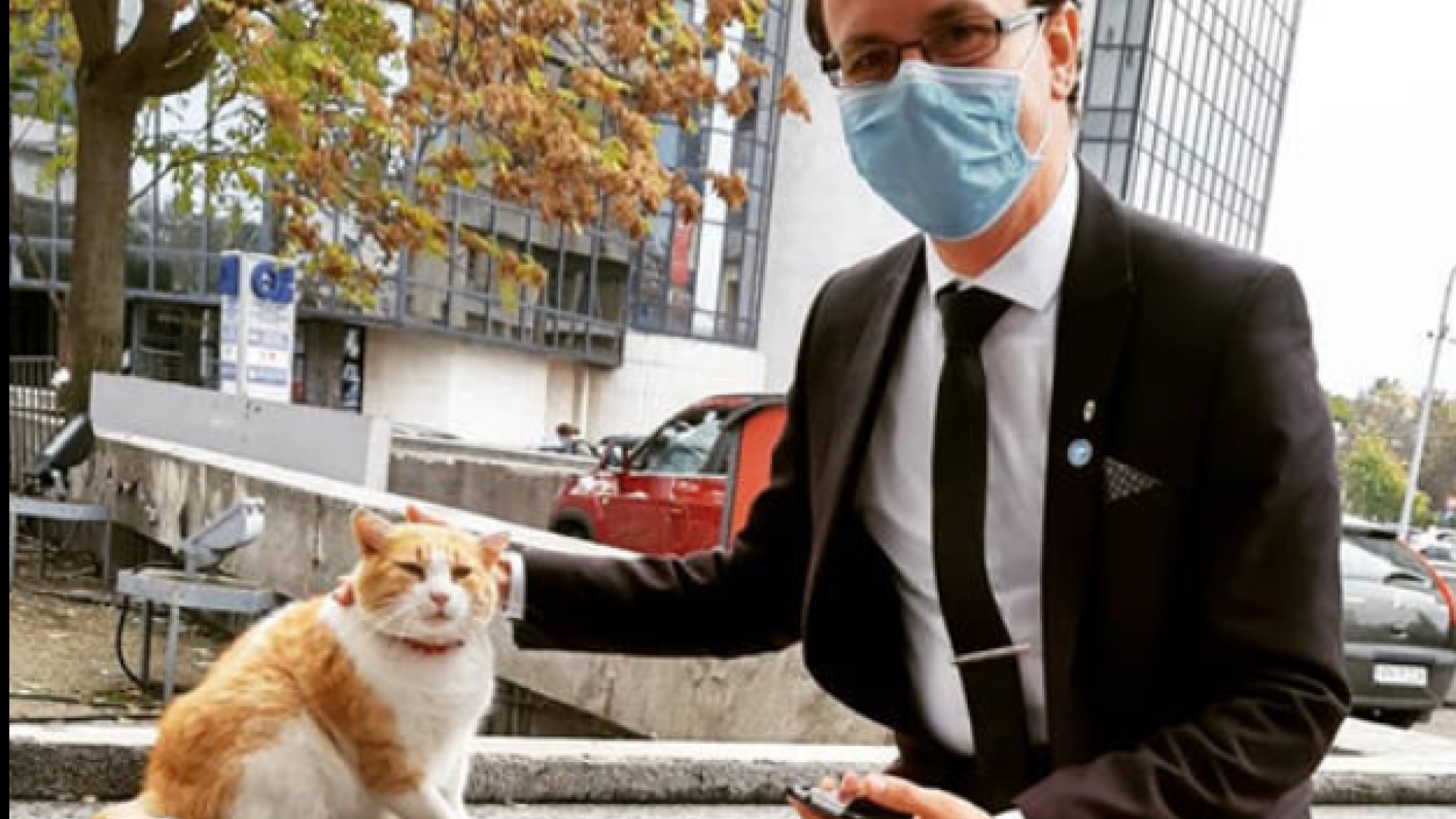 Deputatul USR PLUS care își face reclamă pe Facebook drept apărător al statului de drept și iubitor de pisici