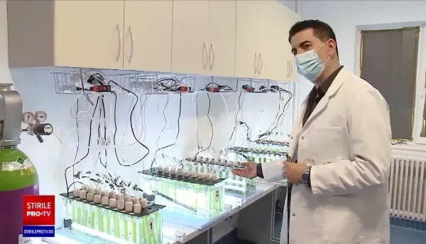 !Un milion de euro de la guvernul Norvegiei pentru o echipă de cercetători din Cluj-Napoca. Ce vor să studieze