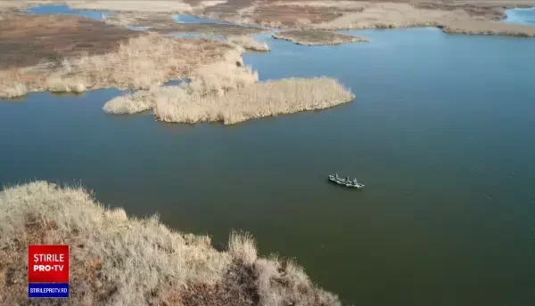 Aproximativ 80% din peștele pe care îl mâncăm vine din alte ţări. De ce importăm atât de mult