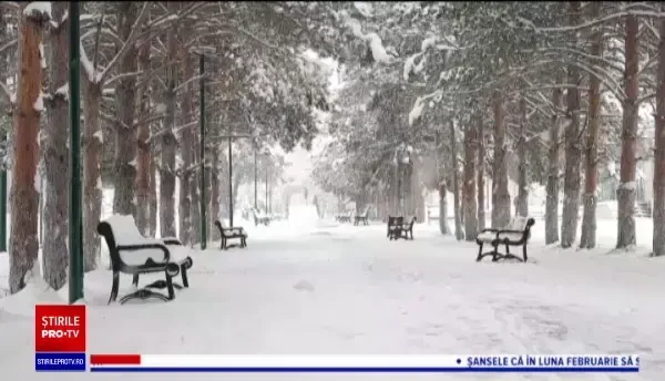 Horoscop 3 februarie, cu Neti Sandu. Vărsătorii își iau revanșa