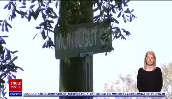 Doi asasini plătiți din SUA angajați de un bărbat să-i omoare nepoata au ucis din greșeală alte două persoane