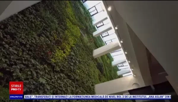 În Santander a fost creată cea mai mare grădină verticală din Europa. ”Este ceva uluitor”