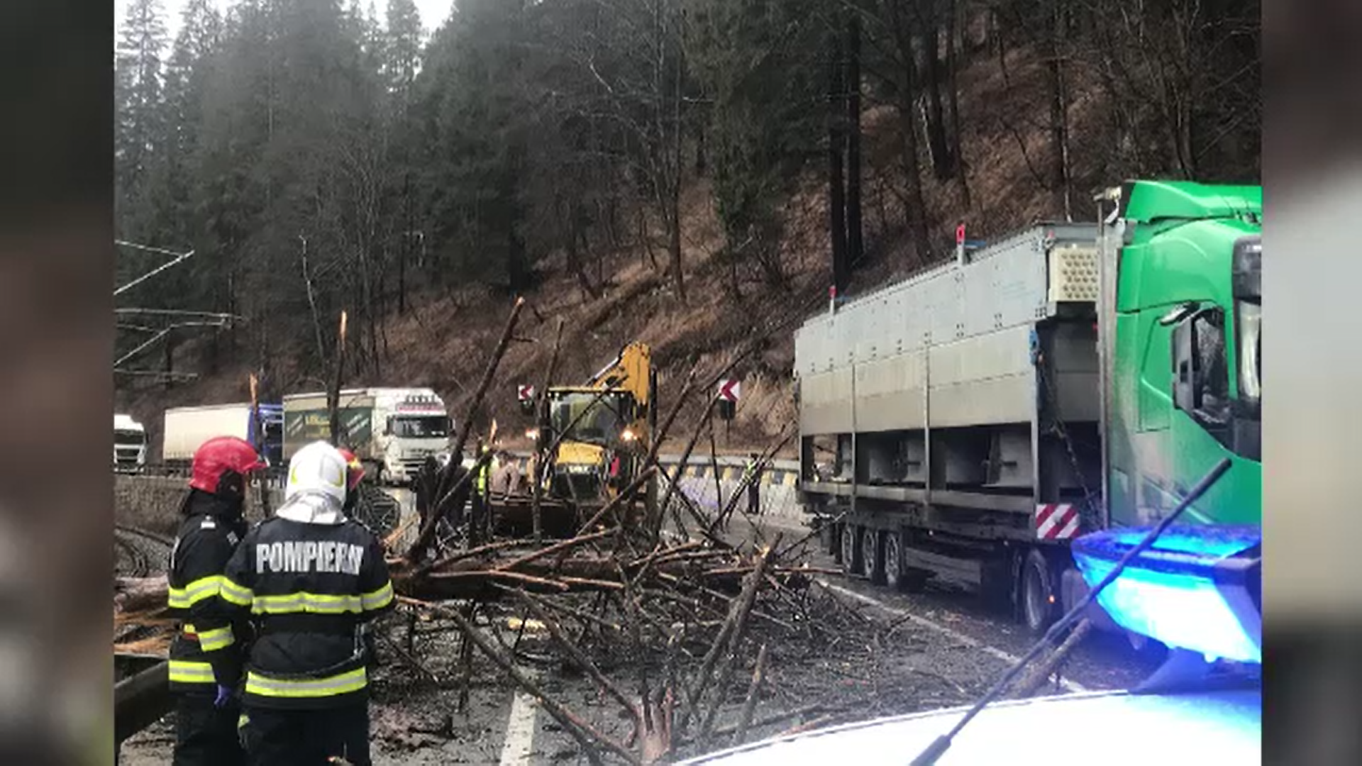 Incident tragic în Suceava. O femeie a murit după ce un copac a căzut peste mașina în care se afla