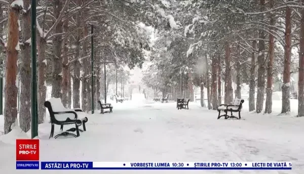 Horoscop 4 februarie, cu Neti Sandu. Vin ceva bani pentru Balanțe