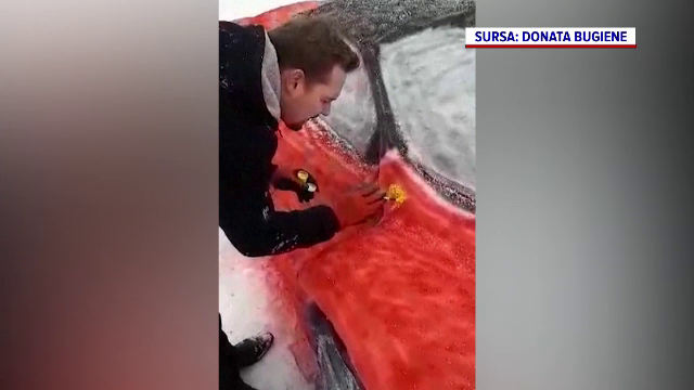 Un bărbat din Lituania și-a construit o mașină de lux din zăpadă, iar rezultatul e impresionant