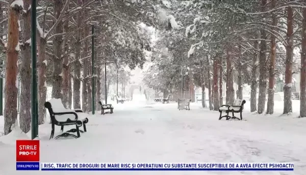 Horoscop 5 februarie, cu Neti Sandu. Berbecii au o reușită în plan financiar