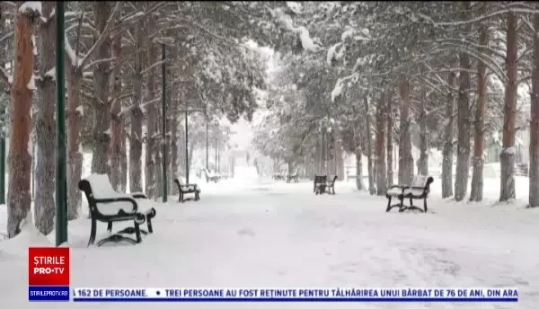 Horoscop 7 februarie, cu Neti Sandu. Gemenii pot reînvia o relație sentimentală