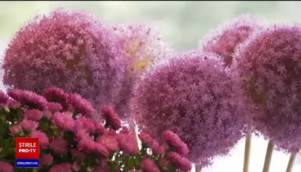 Cum se pregătesc magazinele și restaurantele de Valentine's Day