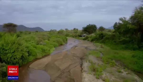 Noi oferte ale agențiilor de turism. Zboruri directe în Kenya