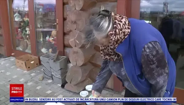 Creatura rezultată prin împerecherea dintre o capră și un berbec. Cum arată și ce îi place să mănânce