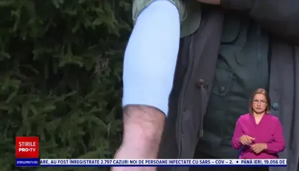 Pădurar bătut cu biciul și cu pumnii de hoții de lemne. „Stăm numai cu teamă și cu frică”