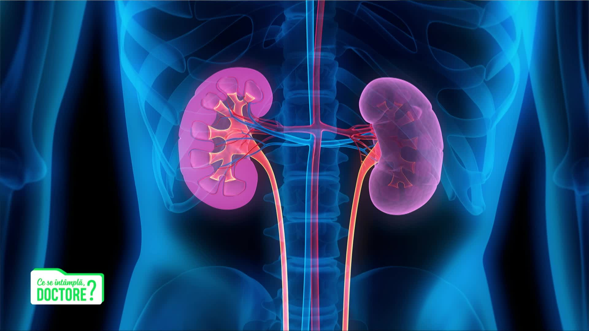 De la tinereţe până spre finalul vieții, funcţia rinichiului suferă modificări