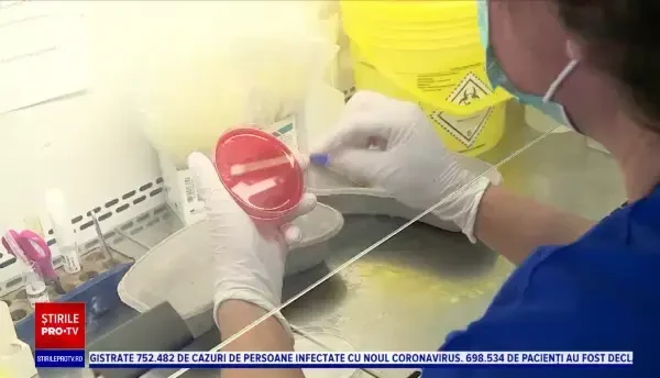 Cinci cazuri noi de infectare cu tulpina britanică a coronavirusului, în județul Botoșani