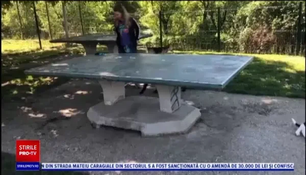 Animalele de companie dezvoltă aceleași simptome de Covid precum copiii. Ce s-a aflat despre transmiterea la om