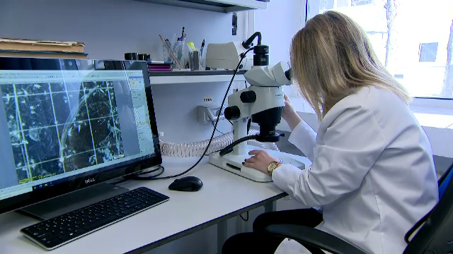 România dă cei mai puțini bani din UE pentru cercetare şi dezvoltare experimentală, până și bulgarii alocă aproape dublu