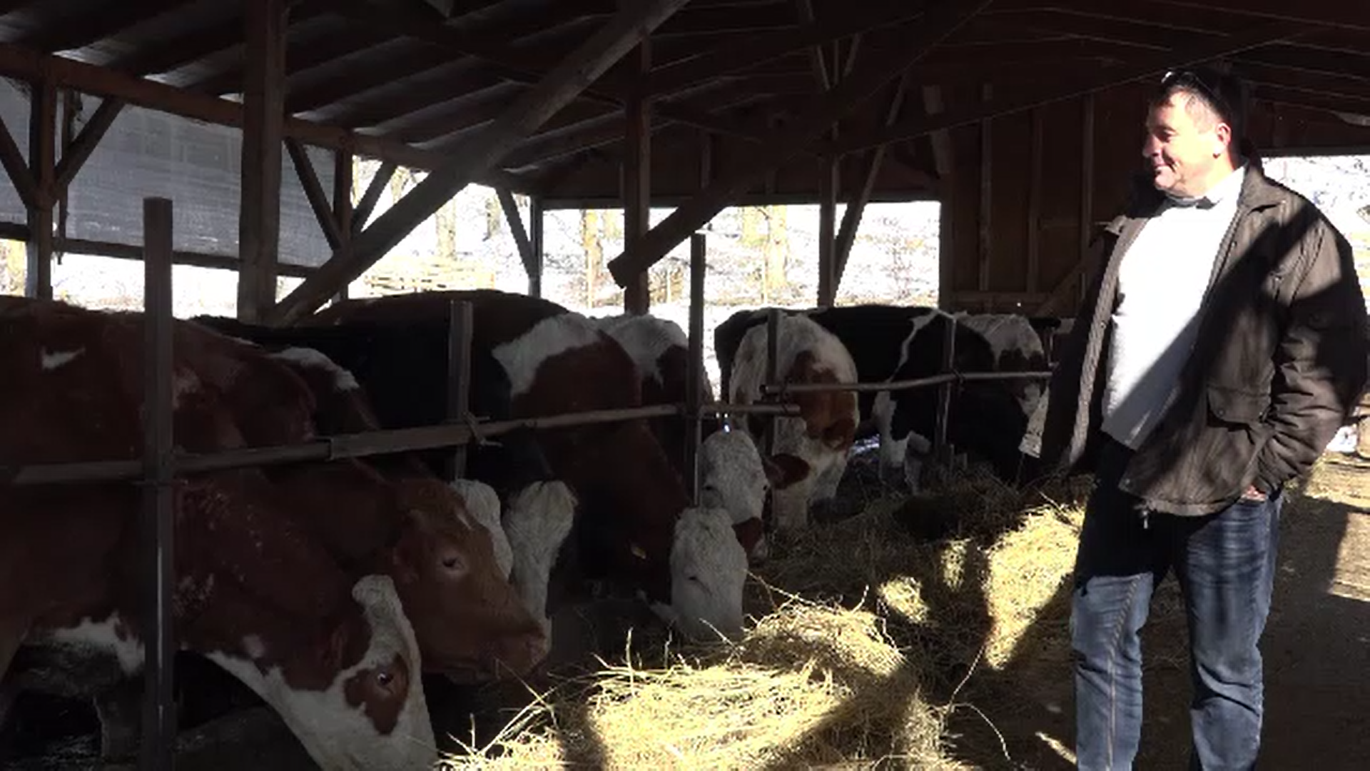 Criza forței de muncă se resimte tot mai mult în rândul crescătorilor de animale din România