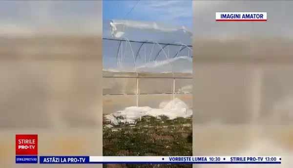 Pierderi uriașe pentru producătorii de legume din Olt. Zeci de solarii au fost distruse