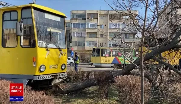 Un tramvai a deraiat de pe șine și s-a oprit într-un pom, din cauza unui șofer care nu a acordat prioritate