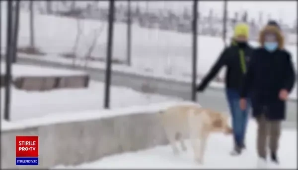 Doi copii din Brașov i-au ajutat pe poliţişti să prindă doi tineri care le furaseră un telefon