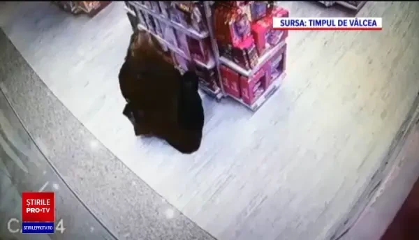 Învățătoare din Vâlcea, acuzată că a jucat la păcănele mii de euro luaţi de la părinţi