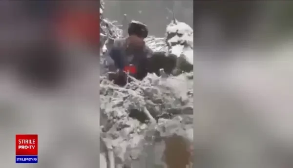 Patru pui de urs scoși din bârlog și aruncați în zăpadă. ”Distracție pe măsura minților și sufletelor limitate pe care le au”