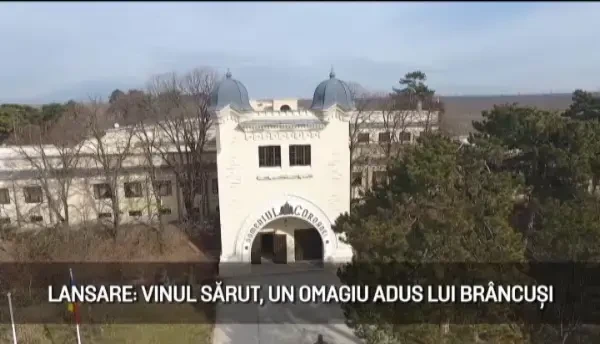 (P) Vinul SĂRUT, un omagiu adus lui Brâncuși