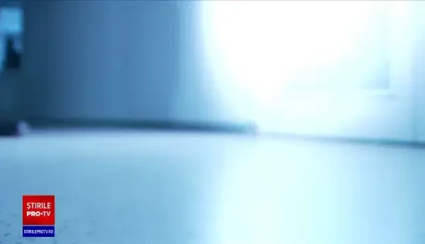 Pedepse de peste 70 de ani de închisoare pentru mai mulți români care şi-au abuzat copiii și au încasat bani de la pedofili