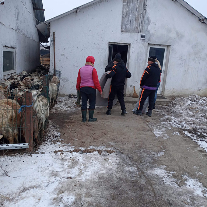 Incredibila poveste a singurilor doi oameni ai străzii din Huși. Cum au distrus cu motorină producția de lapte a unei ferme