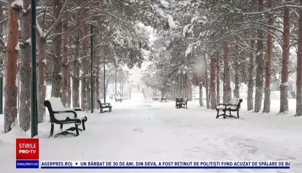 Horoscop 22 februarie, cu Neti Sandu. Berbecii se asociază cu nişte oameni ca să își sporească veniturile