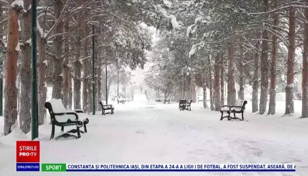 Horoscop 23 februarie, cu Neti Sandu. Berbecii vor câștiga sume mari de bani