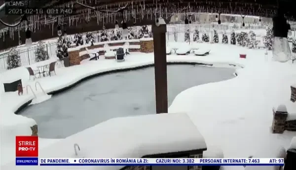 Un câine care a căzut într-o piscină acoperită de gheaţă, salvat la limită de stăpâna lui, în SUA